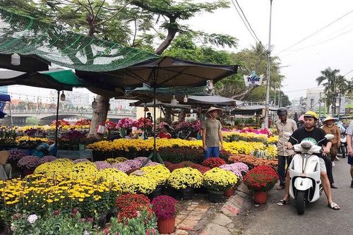 Nhộn nhịp chợ hoa xuân