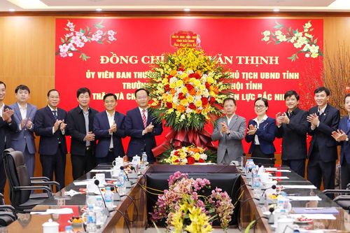 Phó Chủ tịch UBND tỉnh Phạm Văn Thịnh chúc Tết Công ty Điện lực Bắc Ninh
