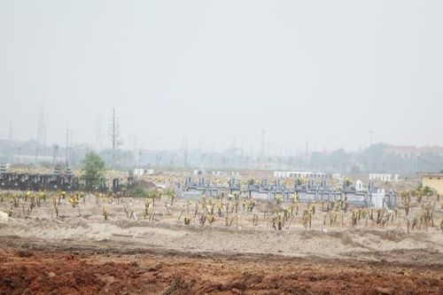 Hoàn thành di chuyển hơn 7 nghìn ngôi mộ phục vụ dự án Cảng hàng không quốc tế Gia Bình