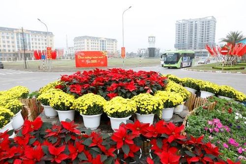 Phố Xuân rực rỡ, chợ hoa tấp nập