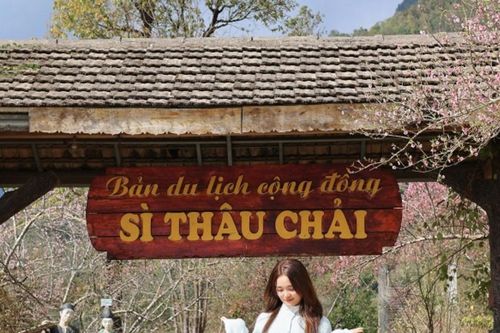Lai Châu: Khám phá Sì Thâu Chải - bản cổ tích rực rỡ sắc hoa giữa mây ngàn Tây Bắc