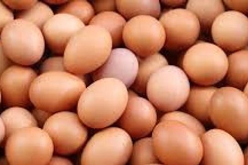 Nhu cầu tiêu thụ trứng tại Pháp năm 2025 chạm mốc kỷ lục 237 quả mỗi người