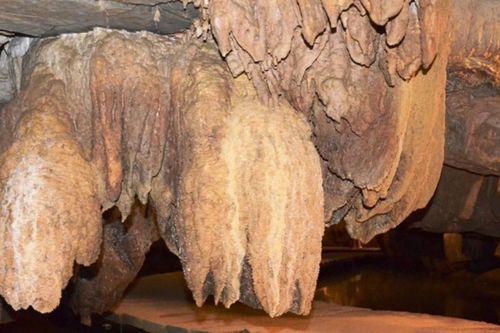 Ninh Bình: Chinh phục động Tiên Cá – 'Cung điện' nhũ đá kỳ ảo trong lòng Thung Nham