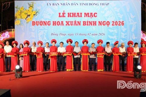 Đồng Tháp: Khai mạc Đường hoa xuân tại phường Đạo Thạnh và phường Cao Lãnh