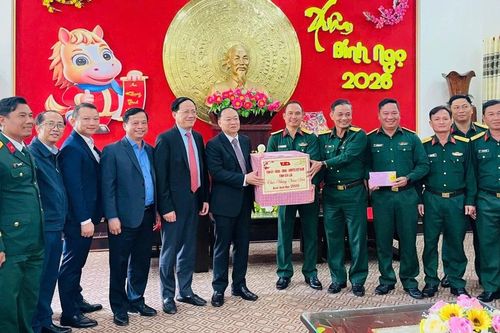 Lãnh đạo tỉnh Gia Lai thăm, chúc Tết Sư đoàn 2