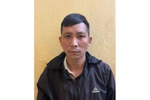 Lật tẩy thủ đoạn 'phù phép' mật ong nuôi thành mật ong rừng Kbang