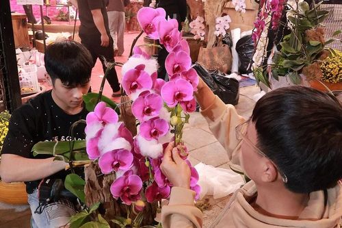 Đằng sau một gian hàng đẹp