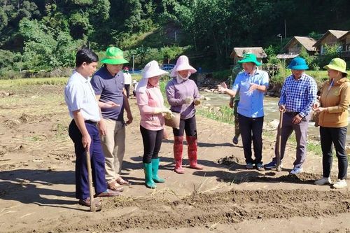 Tỉnh ủy Lào Cai chỉ đạo khẩn trương giải quyết vướng mắc, đảm bảo quyền và lợi ích chính đáng của viên chức, người lao động các đơn vị sự nghiệp công lập cấp xã