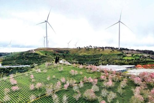 Cánh gió xuân trên miền đất mới