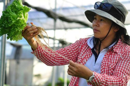 Lâm Đồng khẳng định vị thế trung tâm nông nghiệp công nghệ cao cả nước