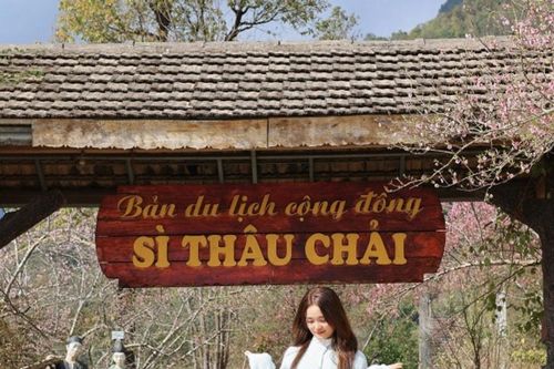 Sì Thâu Chải: Khám phá bản làng cổ tích giữa lưng chừng trời mây tại Lai Châu