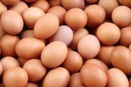 Tiêu thụ trứng tại Pháp đạt kỷ lục 237 quả mỗi người trong năm 2025