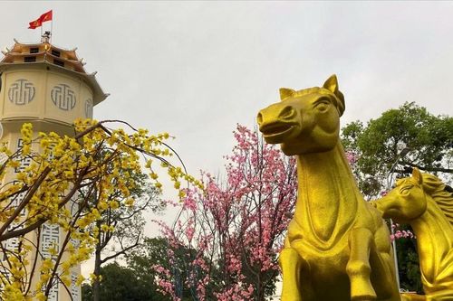 Khánh thành Đại cảnh hoa mừng Xuân năm 2026 tại phường Phan Thiết