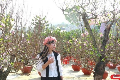 Phải lòng mùa xuân Tây Bắc
