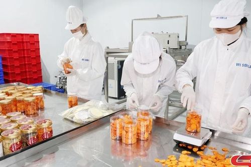 Sôi động Khu công nghiệp Mai Sơn