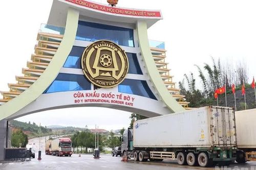 Quảng Ngãi yêu cầu giám sát, phát hiện các trường hợp nghi ngờ mắc bệnh do virus Nipah ngay tại cửa khẩu