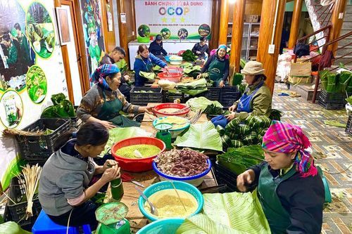 Bản Tùy 'đỏ lửa' mùa bánh chưng Tết