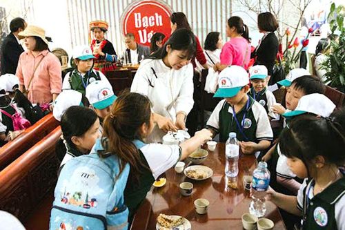 Hương trà gọi xuân về