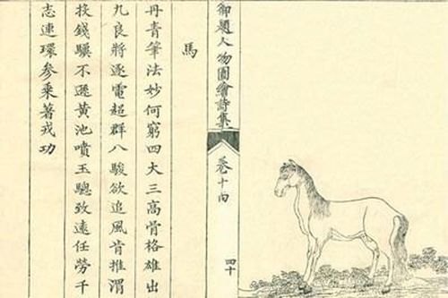 Ngựa trong thơ Hoàng đế Thiệu Trị