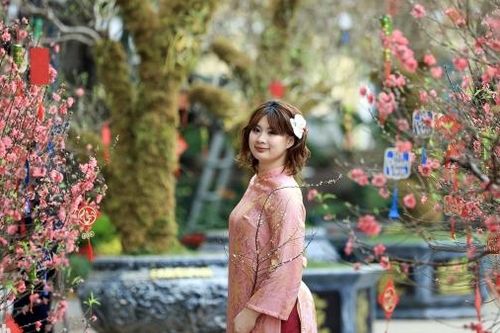 Sắc đào rực rỡ tại vườn hoa Lý Thái Tổ
