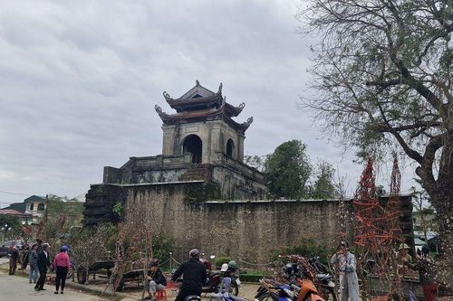 Nghệ An: Nhộn nhịp chợ Tết hoa cây cảnh thành cổ Vinh
