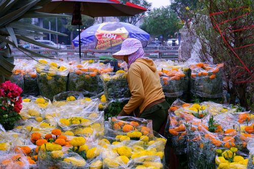 Nhộn nhịp chợ hoa 'Trên bến, dưới thuyền' những ngày cận Tết
