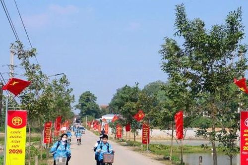 Rực rỡ sắc xuân trên phố phường Hà Nội