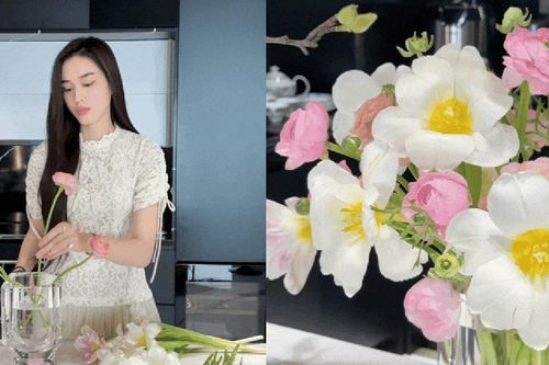 Loài hoa 'nghìn lớp' Hoa hậu Đỗ Hà cắm Tết này có gì đặc biệt?