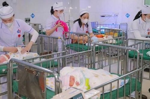 Lá chắn trắng giữa mùa Xuân
