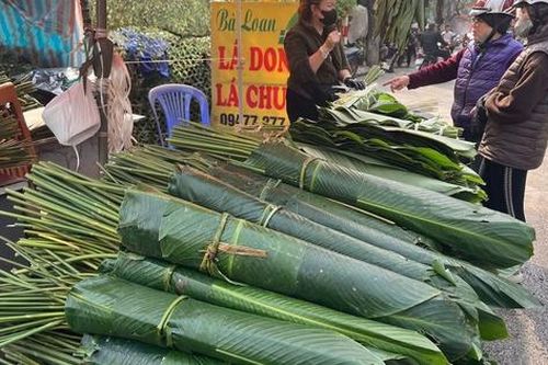 Chợ lá dong tại Hà Nội 'nhuộm xanh' những ngày giáp Tết