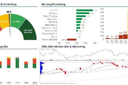 Xu hướng chứng khoán 13/2, tăng tỷ trọng cổ phiếu
