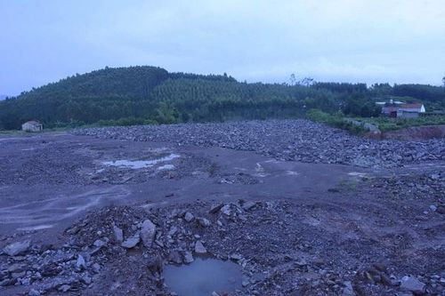 Phát hiện sai phạm nhưng không tham mưu xử lý, nguyên Phó Trưởng phòng Tài nguyên và Môi trường bị khởi tố