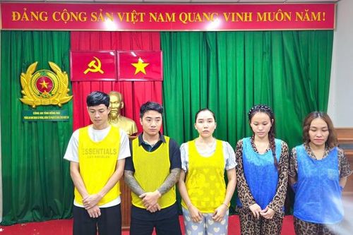 Bắt ổ nhóm lừa đảo 2.500 tỷ đồng: Giả mạo nữ du học sinh xinh đẹp để bẫy nam giới nhiều tiền