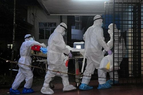 Bộ Y tế ban hành kịch bản ứng phó, phác đồ điều trị virus Nipah