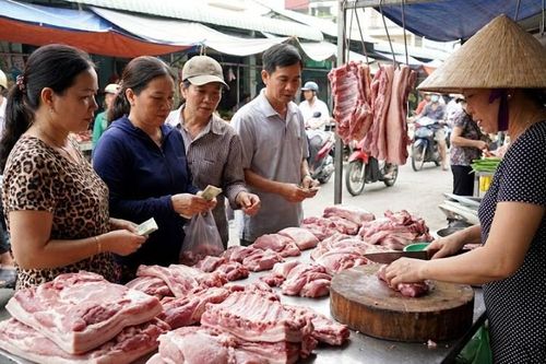 Giá heo hơi hôm nay 14.2: Thị trường trước Tết ít biến động