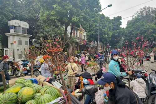 Hồn Tết quê len lỏi giữa nhịp sống đô thị hiện đại