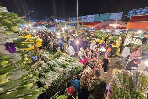 Hối hả chở Xuân về phố