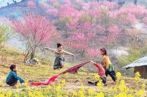 Hẹn Xuân ở những miền hoa