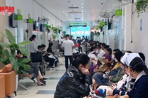Bảo đảm mức sinh thay thế trên toàn quốc