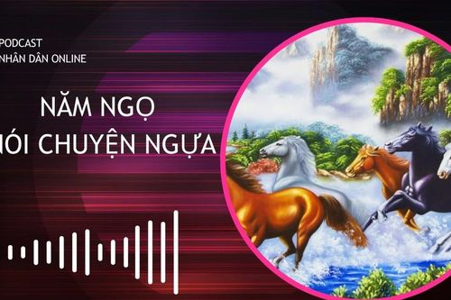 Năm Ngọ nói chuyện ngựa
