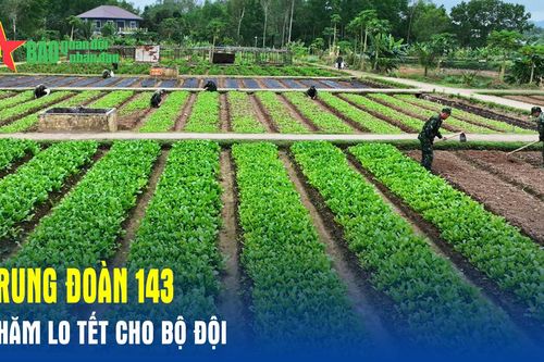 Trung đoàn 143 chăm lo Tết cho bộ đội