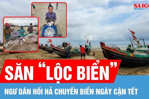Ngư dân hối hả chuyến biển ngày cận tết