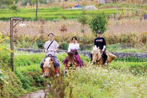 Rong ruổi cực Bắc