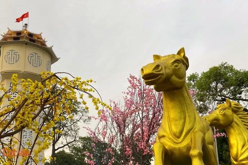 Không khí Tết rộn ràng tại đại cảnh hoa Xuân phường Phan Thiết