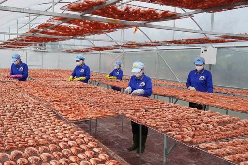 Cận Tết, giá tôm khô, cua gạch Cà Mau tăng 'phi mã'