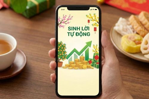 Tiền nhàn rỗi vẫn sinh lợi trong 9 ngày nghỉ Tết