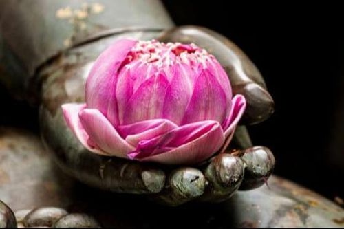 Cầu an không đến từ ngoài, mà từ trong tâm