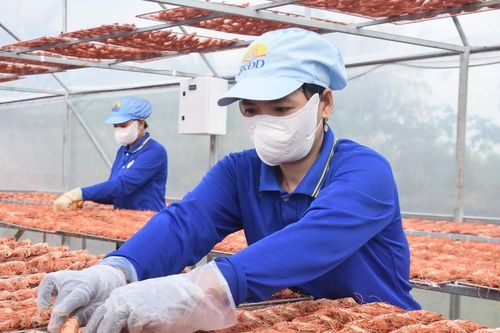 Giá tăng vù vù, đặc sản Cà Mau không có mà bán