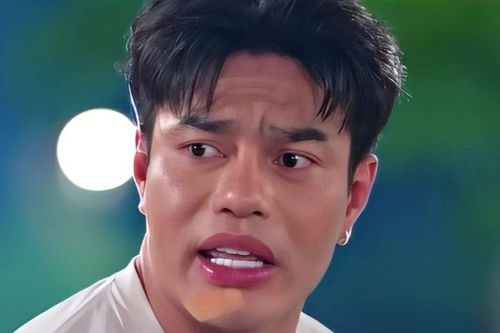 Lê Dương Bảo Lâm xin lỗi