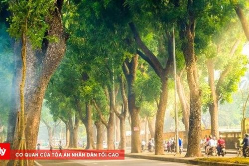 Thời tiết ngày 14/2: Cả nước tạnh ráo, nắng đẹp
